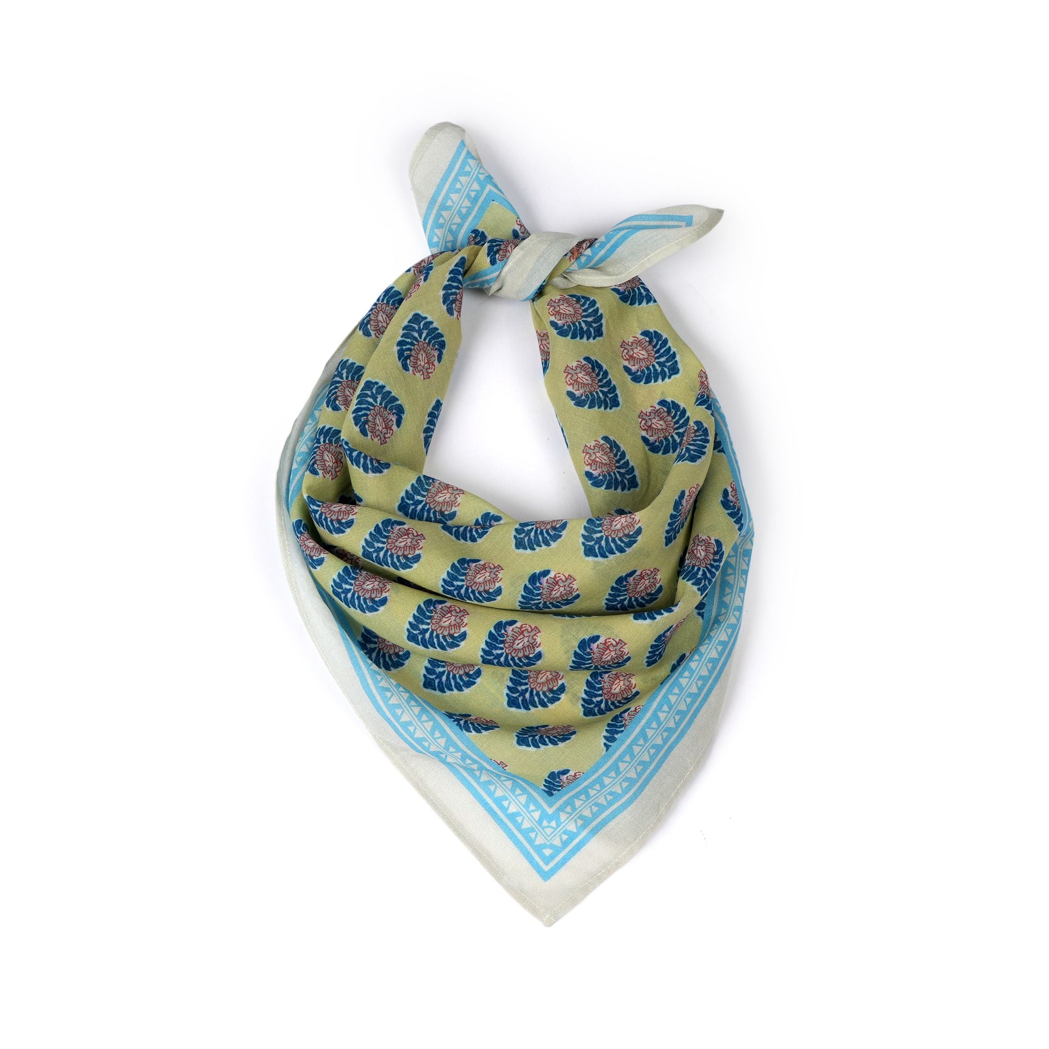 Cabana Palm Cotton Bandana - Pomelo